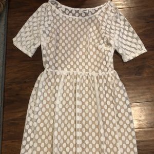 Cato Size 10 Nude and Sheer White Polka Dot Dress